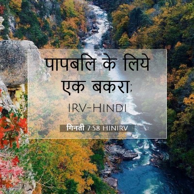 Picture 07 - गिनती 7:58 HINIRV - पापबलि के लिये एक - Bible Verse Picture