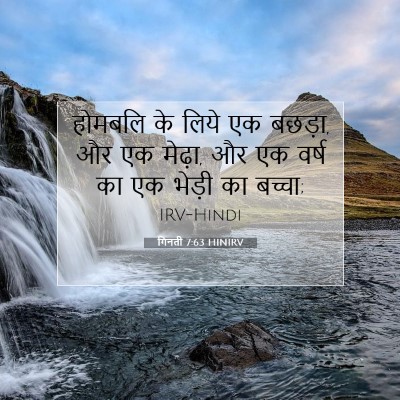 Picture 07 - गिनती 7:63 HINIRV - होमबलि के लिये एक - Bible Verse Picture