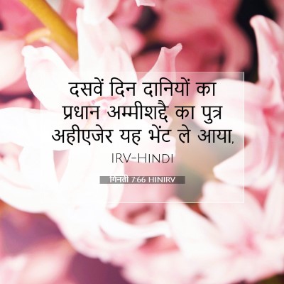 Picture 07 - गिनती 7:66 HINIRV - दसवें दिन दानियों - Bible Verse Picture