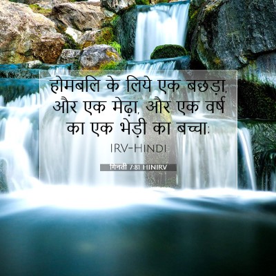 Picture 07 - गिनती 7:81 HINIRV - होमबलि के लिये एक - Bible Verse Picture