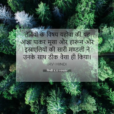Picture 07 - गिनती 8:20 HINIRV - लेवियों के विषय - Bible Verse Picture