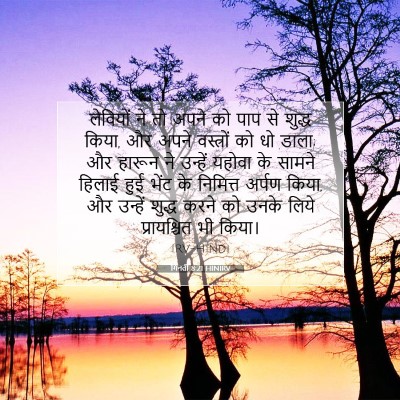 Picture 07 - गिनती 8:21 HINIRV - लेवियों ने तो अपने - Bible Verse Picture