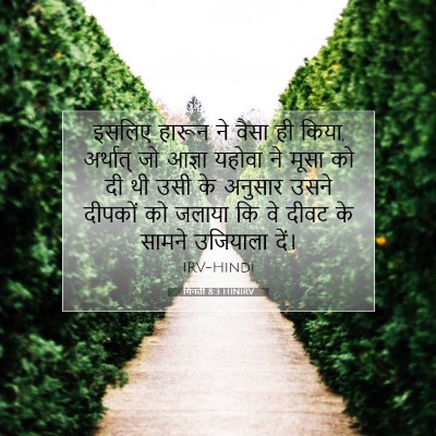 Picture 07 - गिनती 8:3 HINIRV - इसलिए हारून ने - Bible Verse Picture