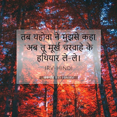 Picture 07 - जकर्याह 11:15 HINIRV - तब यहोवा ने मुझसे - Bible Verse Picture