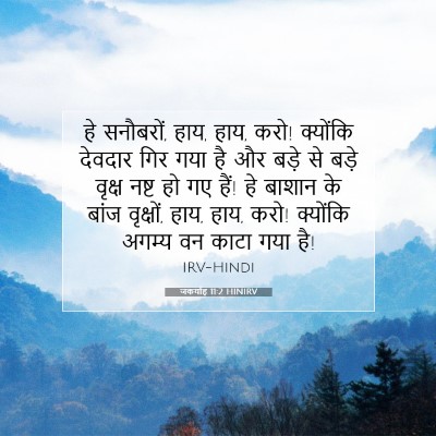 Picture 07 - जकर्याह 11:2 HINIRV - हे सनौबरों, हाय, - Bible Verse Picture