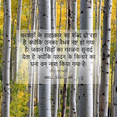 Picture 07 - जकर्याह 11:3 HINIRV - चरवाहों के - Bible Verse Picture