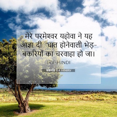 Picture 07 - जकर्याह 11:4 HINIRV - मेरे परमेश्‍वर - Bible Verse Picture