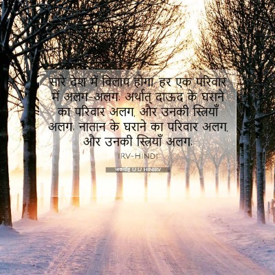 Picture 07 - जकर्याह 12:12 HINIRV - सारे देश में विलाप - Bible Verse Picture