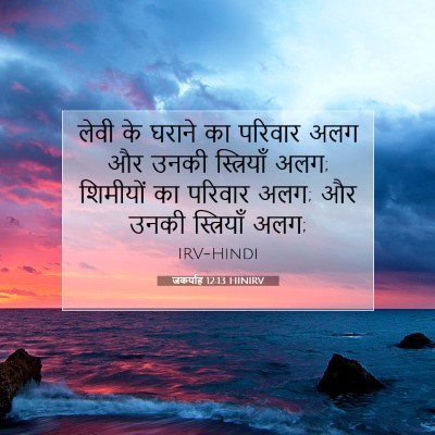 Picture 07 - जकर्याह 12:13 HINIRV - लेवी के घराने का - Bible Verse Picture