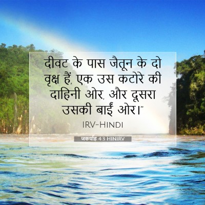 Picture 07 - जकर्याह 4:3 HINIRV - दीवट के पास जैतून - Bible Verse Picture