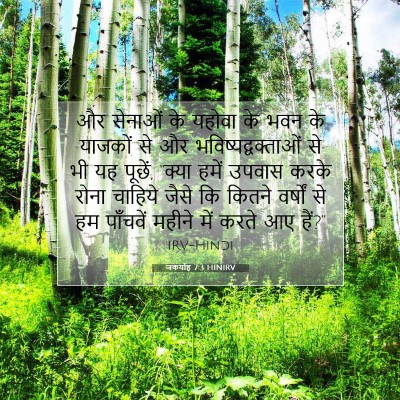 Picture 07 - जकर्याह 7:3 HINIRV - और सेनाओं के यहोवा - Bible Verse Picture