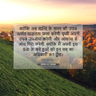 Picture 07 - जकर्याह 8:12 HINIRV - क्योंकि अब शान्ति - Bible Verse Picture