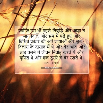 Picture 07 - तीतुस 3:3 HINIRV - क्योंकि हम भी पहले, - Bible Verse Picture