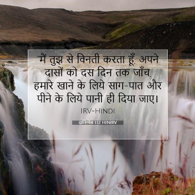 Picture 07 - दानिय्येल 1:12 HINIRV - “मैं तुझ से विनती - Bible Verse Picture