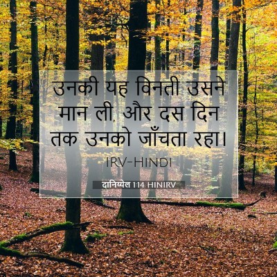 Picture 07 - दानिय्येल 1:14 HINIRV - उनकी यह विनती उसने - Bible Verse Picture
