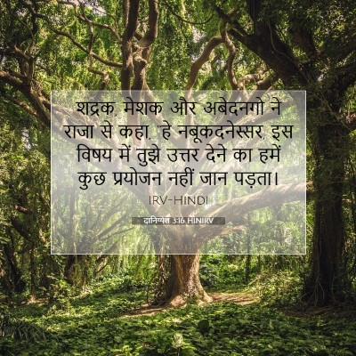 Picture 07 - दानिय्येल 3:16 HINIRV - शद्रक, मेशक और - Bible Verse Picture