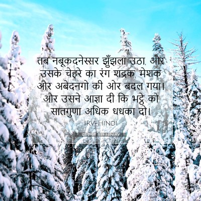 Picture 07 - दानिय्येल 3:19 HINIRV - तब नबूकदनेस्सर - Bible Verse Picture