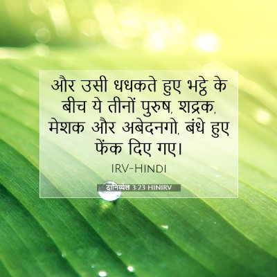 Picture 07 - दानिय्येल 3:23 HINIRV - और उसी धधकते हुए - Bible Verse Picture