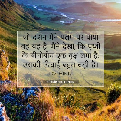Picture 07 - दानिय्येल 4:10 HINIRV - जो दर्शन मैंने - Bible Verse Picture