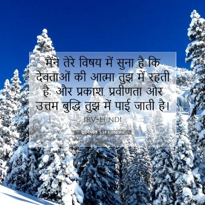 Picture 07 - दानिय्येल 5:14 HINIRV - मैंने तेरे विषय - Bible Verse Picture