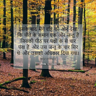 Picture 07 - दानिय्येल 7:6 HINIRV - इसके बाद मैंने - Bible Verse Picture
