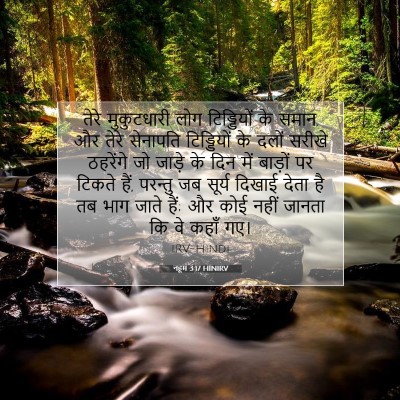 Picture 07 - नहूम 3:17 HINIRV - तेरे मुकुटधारी - Bible Verse Picture