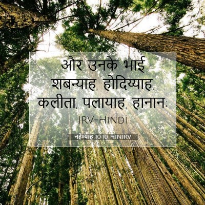Picture 07 - नहेम्याह 10:10 HINIRV - और उनके भाई - Bible Verse Picture