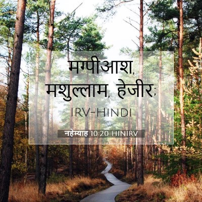 Picture 07 - नहेम्याह 10:20 HINIRV - मग्पीआश, मशुल्लाम, - Bible Verse Picture