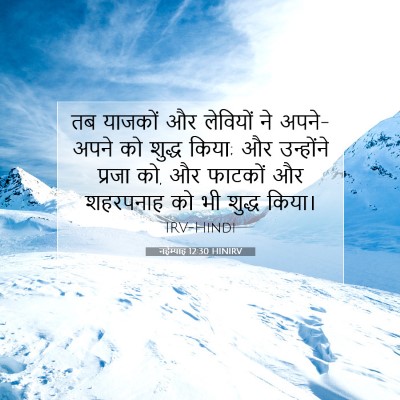 Picture 07 - नहेम्याह 12:30 HINIRV - तब याजकों और - Bible Verse Picture