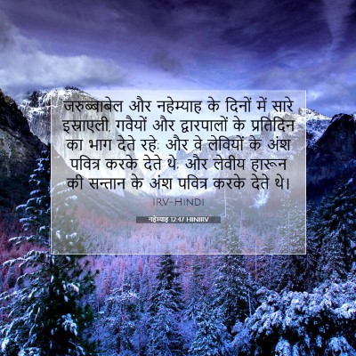 Picture 07 - नहेम्याह 12:47 HINIRV - जरुब्बाबेल और - Bible Verse Picture