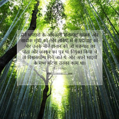 Picture 07 - नहेम्याह 13:13 HINIRV - मैंने भण्डारों के - Bible Verse Picture