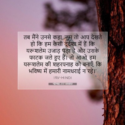 Picture 07 - नहेम्याह 2:17 HINIRV - तब मैंने उनसे कहा, - Bible Verse Picture