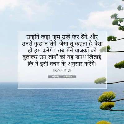 Picture 07 - नहेम्याह 5:12 HINIRV - उन्होंने कहा, “हम - Bible Verse Picture