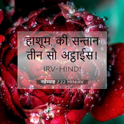 Picture 07 - नहेम्याह 7:22 HINIRV - हाशूम, की सन्तान - Bible Verse Picture