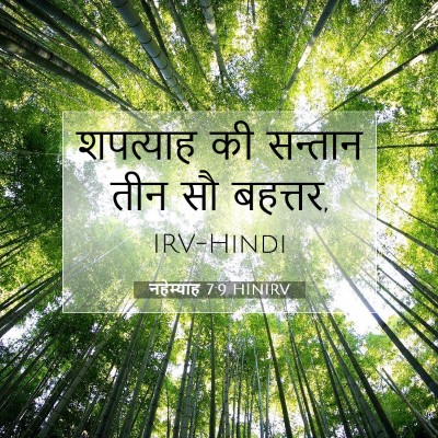 Picture 07 - नहेम्याह 7:9 HINIRV - शपत्याह की सन्तान - Bible Verse Picture