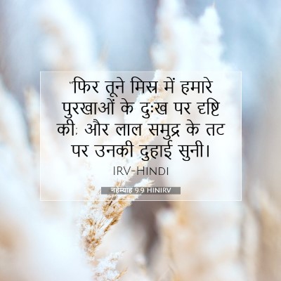 Picture 07 - नहेम्याह 9:9 HINIRV - “फिर तूने मिस्र - Bible Verse Picture