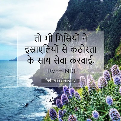 Picture 07 - निर्गमन 1:13 HINIRV - तो भी मिस्रियों ने - Bible Verse Picture