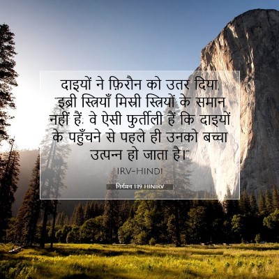 Picture 07 - निर्गमन 1:19 HINIRV - दाइयों ने फ़िरौन - Bible Verse Picture