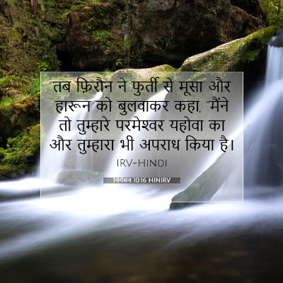 Picture 07 - निर्गमन 10:16 HINIRV - तब फ़िरौन ने - Bible Verse Picture