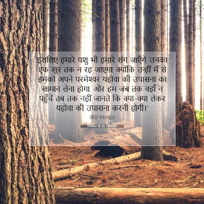 Picture 07 - निर्गमन 10:26 HINIRV - इसलिए हमारे पशु भी - Bible Verse Picture