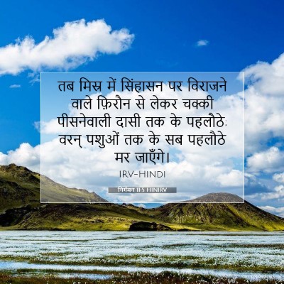Picture 07 - निर्गमन 11:5 HINIRV - तब मिस्र में - Bible Verse Picture