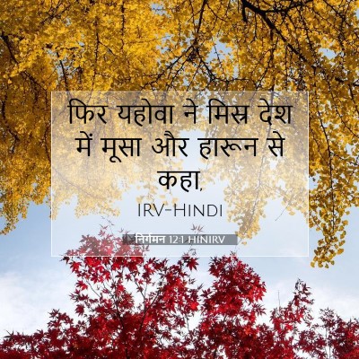 Picture 07 - निर्गमन 12:1 HINIRV - फिर यहोवा ने मिस्र - Bible Verse Picture