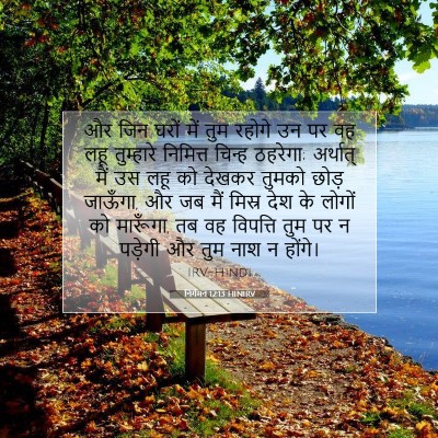 Picture 07 - निर्गमन 12:13 HINIRV - और जिन घरों में तुम - Bible Verse Picture