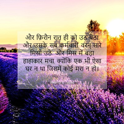 Picture 07 - निर्गमन 12:30 HINIRV - और फ़िरौन रात ही को - Bible Verse Picture