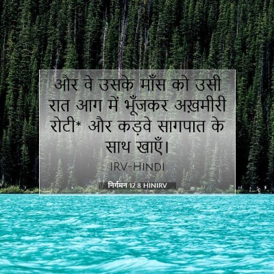 Picture 07 - निर्गमन 12:8 HINIRV - और वे उसके माँस को - Bible Verse Picture
