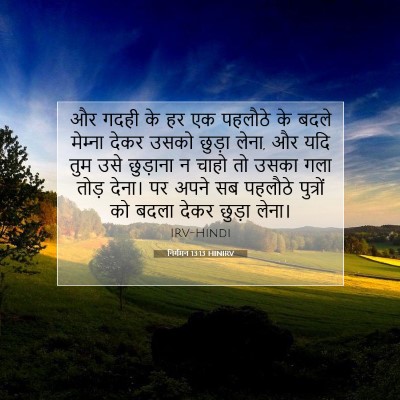 Picture 07 - निर्गमन 13:13 HINIRV - और गदही के हर एक - Bible Verse Picture