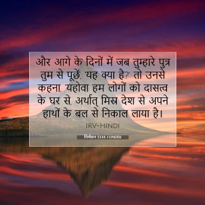 Picture 07 - निर्गमन 13:14 HINIRV - और आगे के दिनों में - Bible Verse Picture