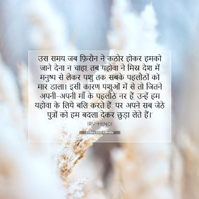 Picture 07 - निर्गमन 13:15 HINIRV - उस समय जब फ़िरौन ने - Bible Verse Picture