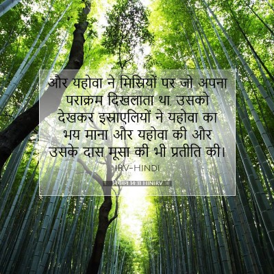 Picture 07 - निर्गमन 14:31 HINIRV - और यहोवा ने - Bible Verse Picture