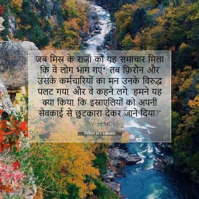 Picture 07 - निर्गमन 14:5 HINIRV - जब मिस्र के राजा को - Bible Verse Picture